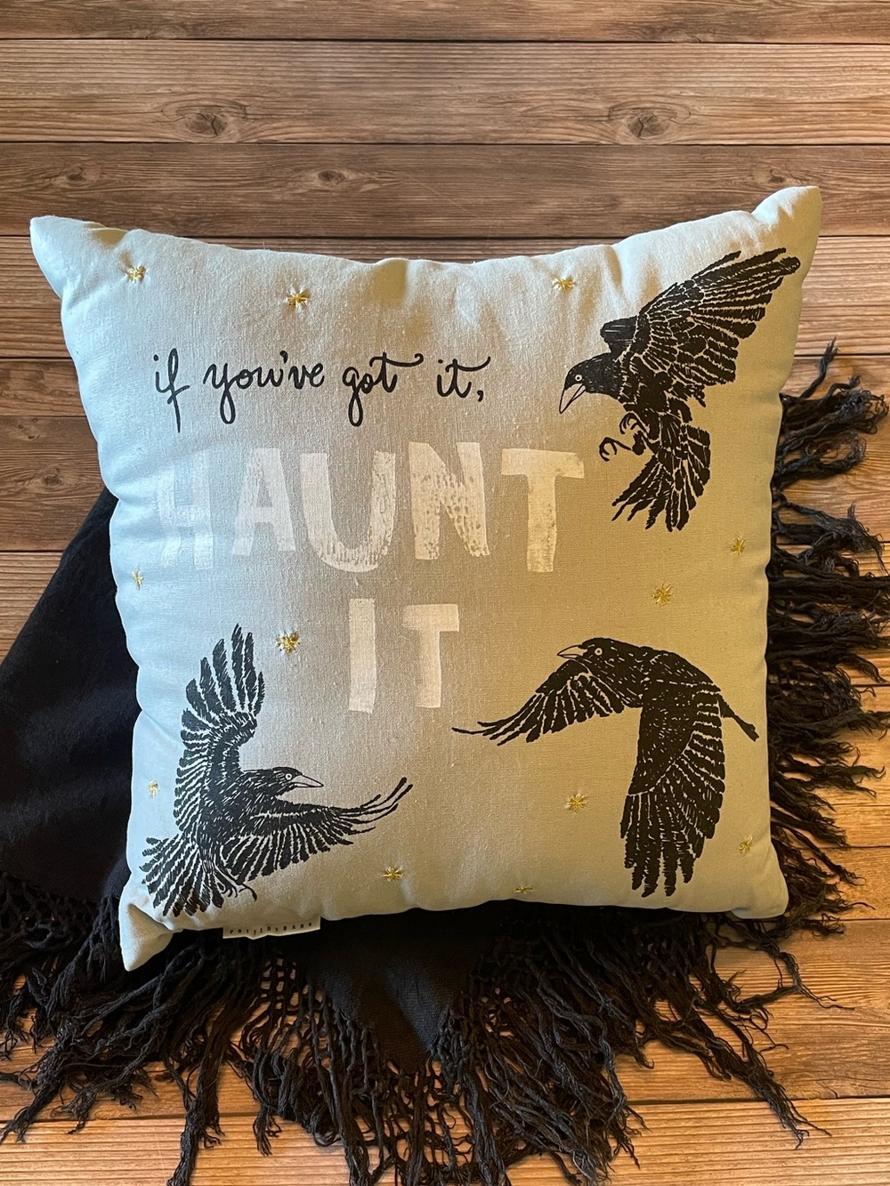 Pottery Barn Haunt It Accent Pillow